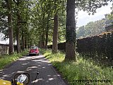 Zandlemig Vlaanderen